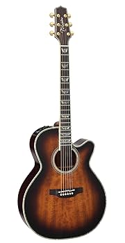 Amazon | TAKAMINE タカミネ DMP500 VTS エレアコ | エレアコ